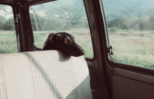 Captura de pantalla 2019 07 24 a las 9.39.16