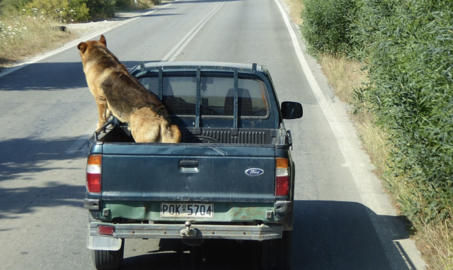 Captura de pantalla 2019 07 24 a las 9.42.03