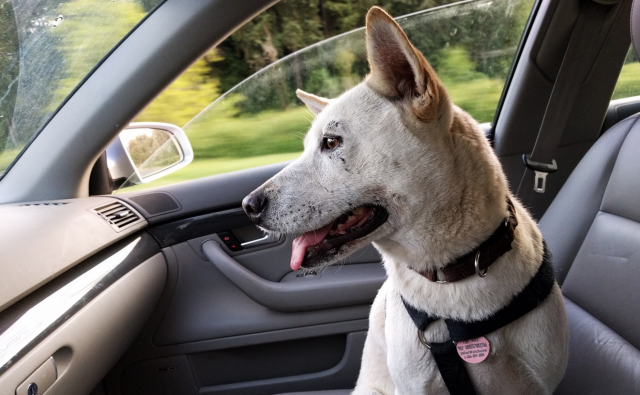 Captura de pantalla 2019 07 24 a las 9.44.08