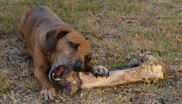 Captura de pantalla 2019 07 24 a las 9.47.01