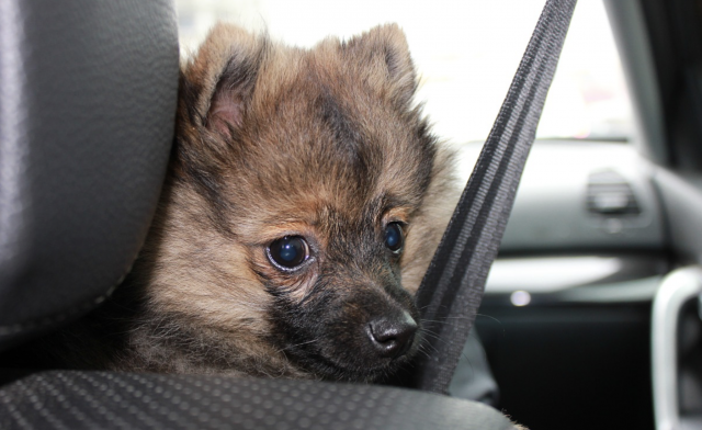Captura de pantalla 2019 07 24 a las 9.50.38