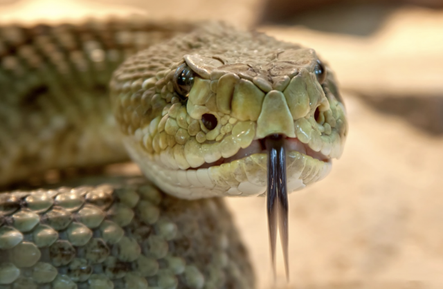 Lo más curioso de la semana 58 Captura de pantalla 2019 07 26 a las 15.47.01