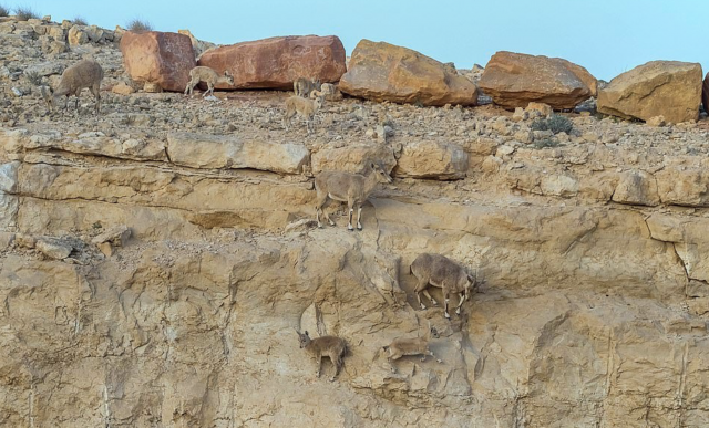 Captura de pantalla 2019 07 26 a las 9.57.23