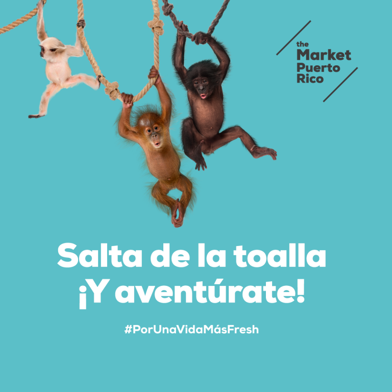 ¡Salta de la toalla y aventúrate en The Market Puerto Rico!