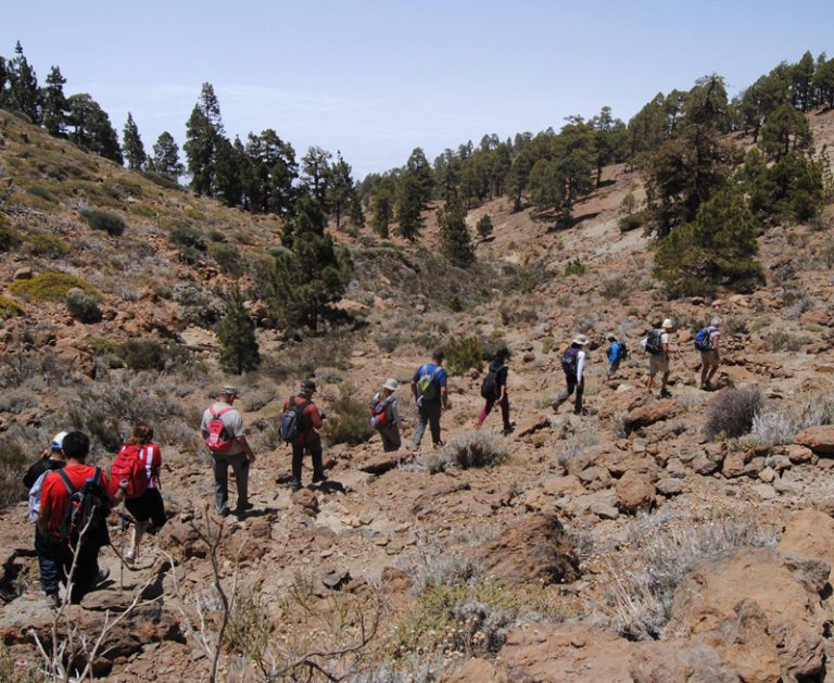 ‘Senderíza-t’ fomenta la participación ciudadana con rutas de senderismo por la geografía insular