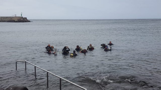 limpiezafondostelde2