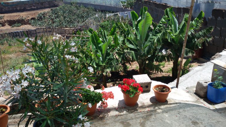 El Cabildo impulsa la venta online de productos elaborados del sector primario local