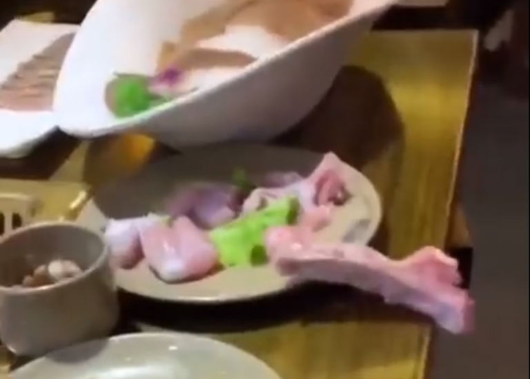 Un trozo de pollo vivo escapa del plato de un cocinero