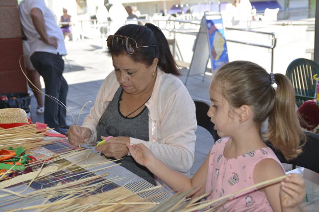 presentación proyecto 30