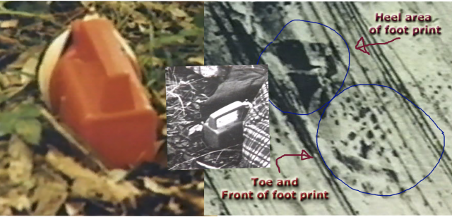 Asesinan a tres niñas en un campamento de verano: el caso de las 'Scout Girls' 14 pruebas