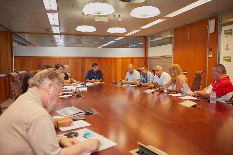 La Mesa del Taxi aprueba por unanimidad regular la actividad vinculada a los cruceristas y dar una solución urgente a las paradas de taxi con más necesidades