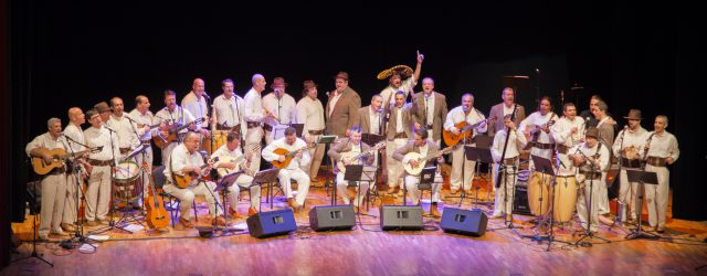 14 La Parranda de Teror 25 aniversario 2014