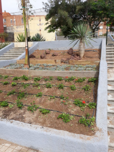 El Ayuntamiento dinamiza las zonas verdes de la Vega de San José 3 Actuación zonas verdes Vega de San José 3