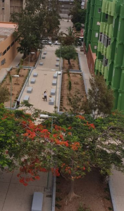El Ayuntamiento dinamiza las zonas verdes de la Vega de San José 1 Actuación zonas verdes Vega de San José 4