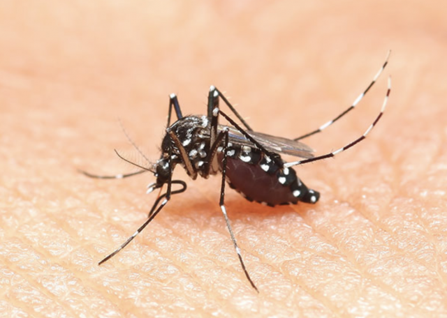 Captura de pantalla 2019 08 02 a las 13.34.58