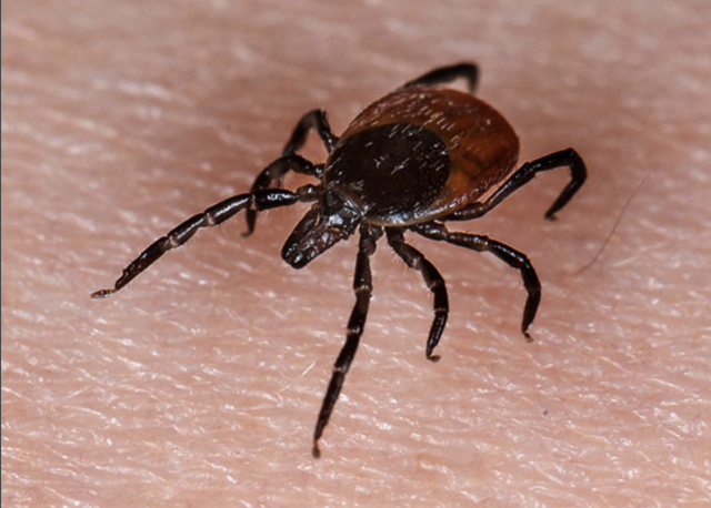 Captura de pantalla 2019 08 02 a las 13.35.10