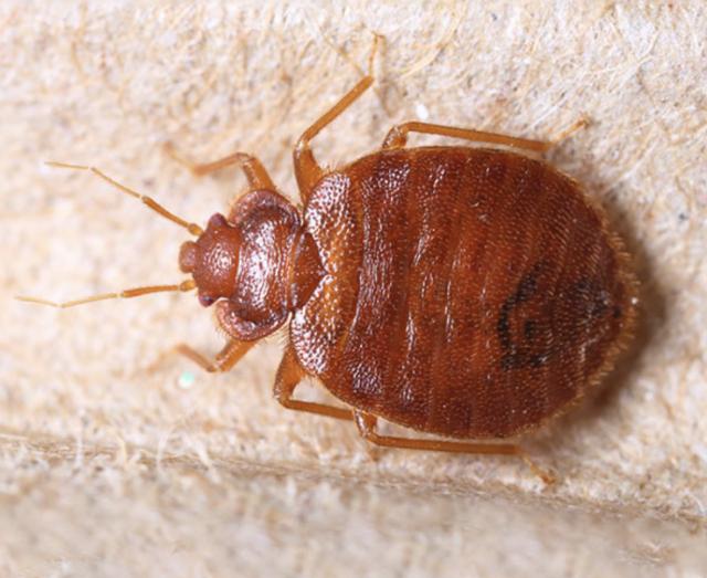 Captura de pantalla 2019 08 02 a las 13.35.19