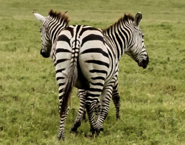Captura de pantalla 2019 08 05 a las 11.59.05