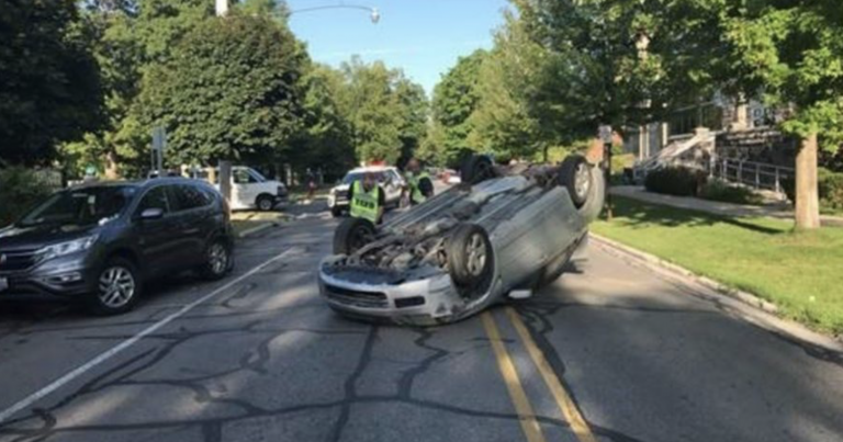 Una conductora de 82 años vuelca su vehículo por no atropellar una ardilla y la multan por imprudencia