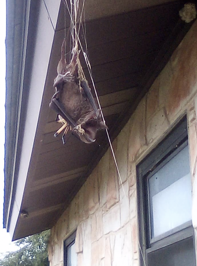 Captura de pantalla 2019 08 09 a las 11.38.46