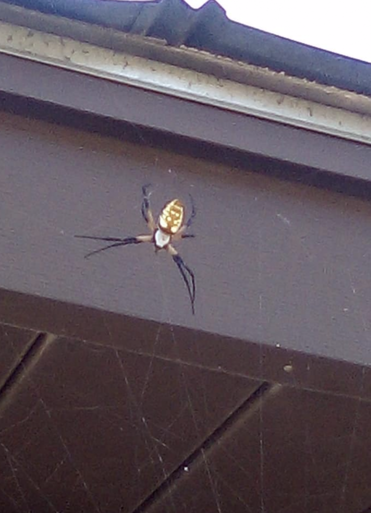 Captura de pantalla 2019 08 09 a las 11.39.09