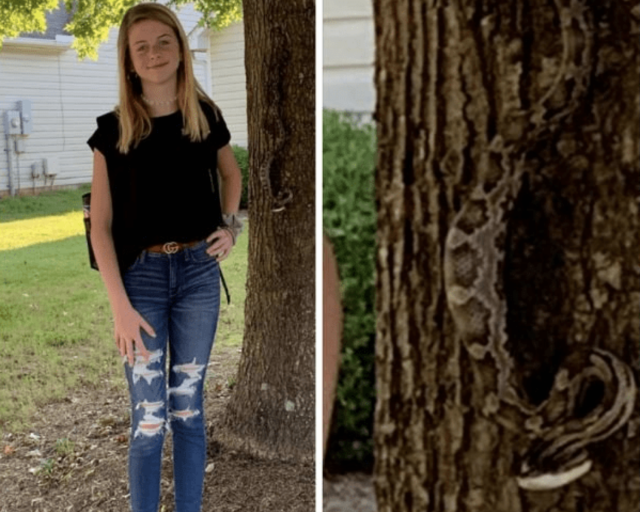 Captura de pantalla 2019 08 12 a las 10.15.06