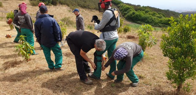 Colocando protecciones para el curso con desbrozadora