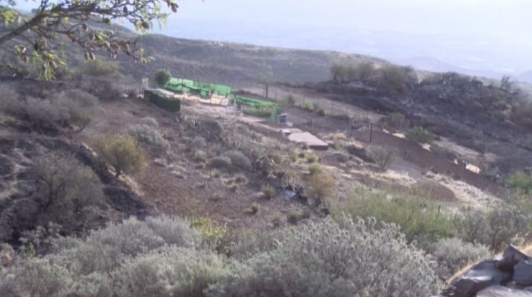 El Ayuntamiento de Las Palmas de Gran Canaria declara la situación de alerta por riesgo de incendio forestal