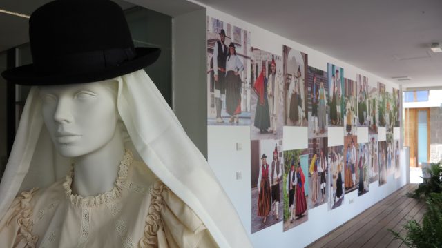 Imagen del escaparate.