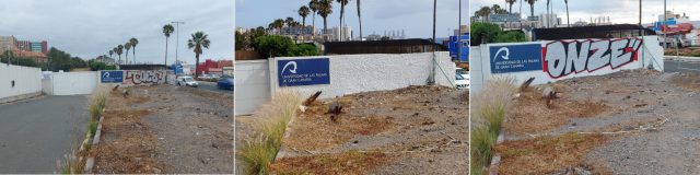 Limpieza grafitis en San Cristóbal con estado inicial tras la limpieza y con nueva pintada