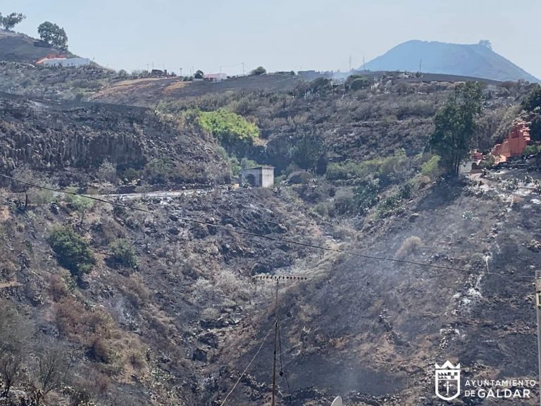 Los municipios afectados por los incendios ya pueden solicitar al Cabildo ayuda para contratar personal para limpieza y restauración de terrenos