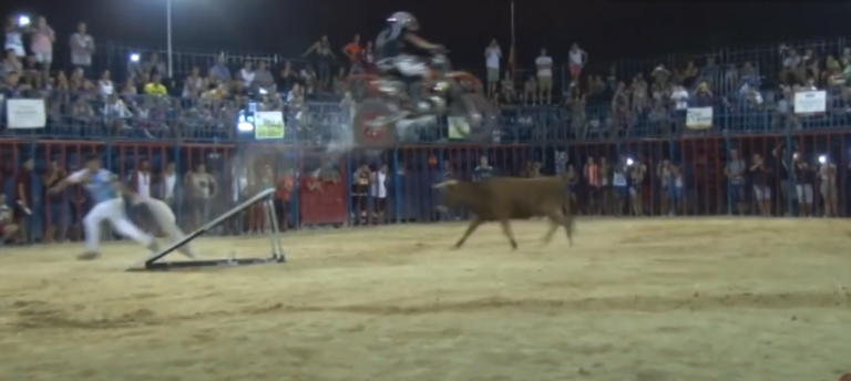 Animalistas suspenden la 'moto torera' en Minglanilla (Cuenca)