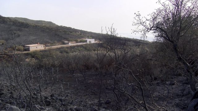 valoracion incendio6