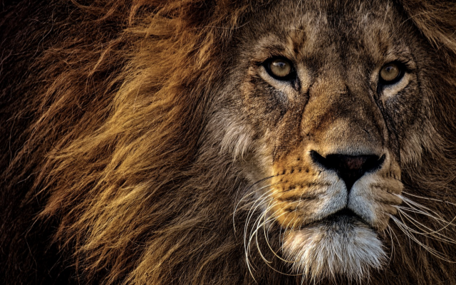 Captura de pantalla 2019 09 19 a las 13.55.57