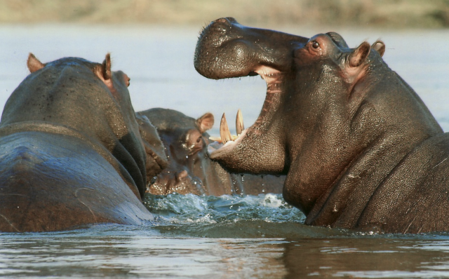 Captura de pantalla 2019 09 19 a las 14.02.36