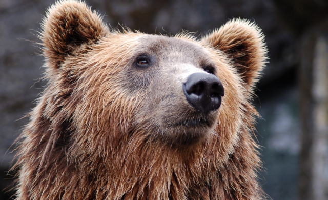 Captura de pantalla 2019 09 19 a las 14.06.54