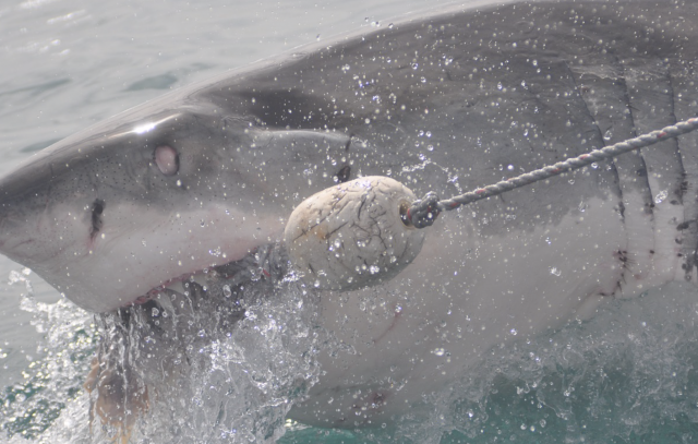 Captura de pantalla 2019 09 19 a las 14.10.35
