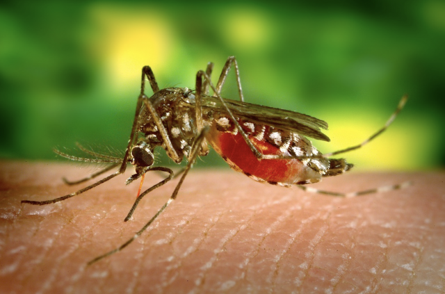 Captura de pantalla 2019 09 19 a las 14.15.33