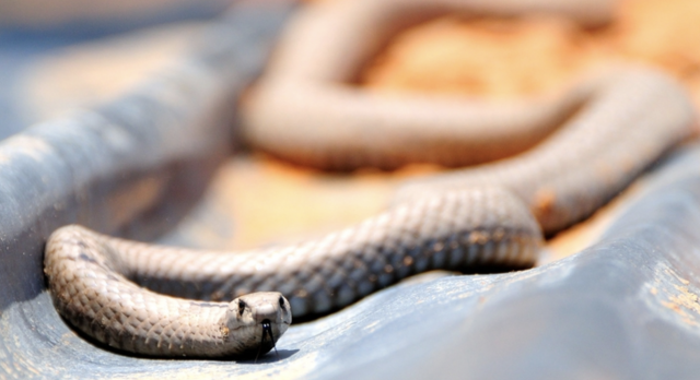 Captura de pantalla 2019 09 19 a las 14.18.20