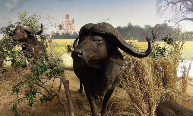 Captura de pantalla 2019 09 19 a las 14.26.37