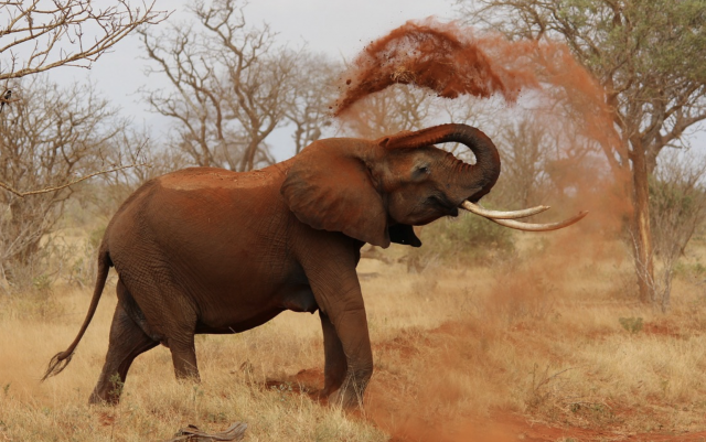 Captura de pantalla 2019 09 19 a las 14.29.45