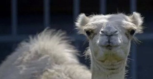 Captura de pantalla 2019 09 23 a las 13.00.36