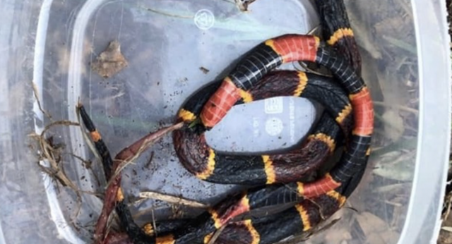 Captura de pantalla 2019 09 30 a las 13.02.06