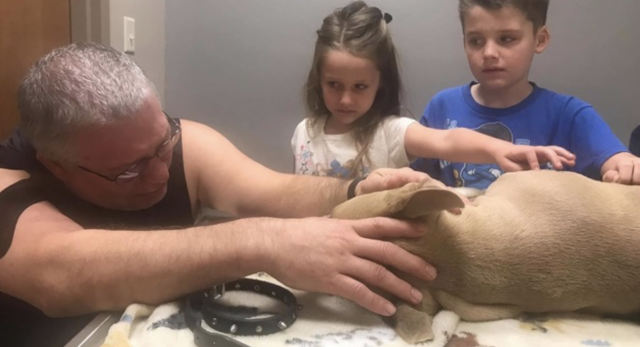 Captura de pantalla 2019 09 30 a las 13.02.23