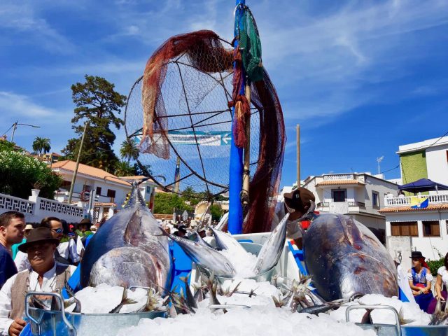 Ofrenda de pescado fresco de Mogán en la romería ofrenda a Nuestra Señora del Pino