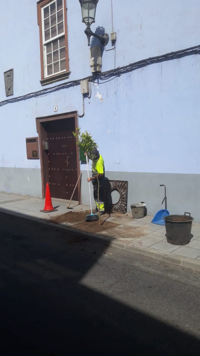 Trabajos desarrollados en San Juan 4