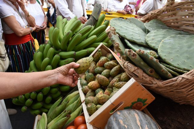 Tunos en una carreta municipal