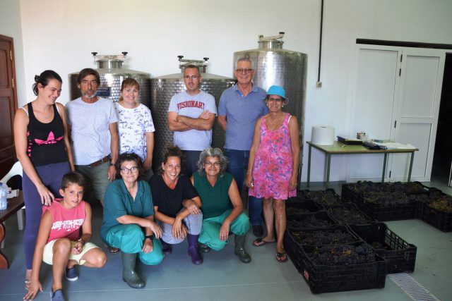 VENDIMIA VERANO 2019 5