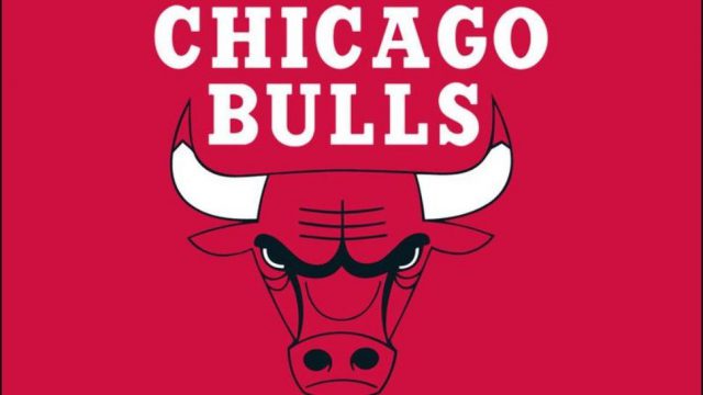 chicago Bulls