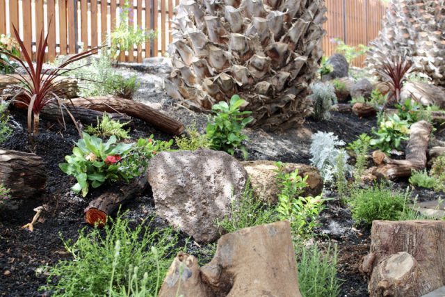 embellecimiento cementerios galdar 2